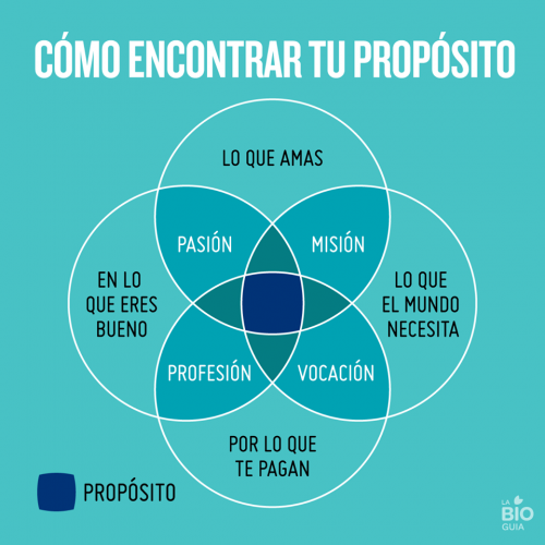 Que quiero hacer con mi vida